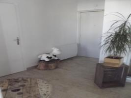 Rental Apartment Bambou - Nice, 2 Bedrooms, 5 Persons Eksteriør billede